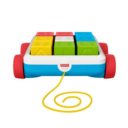 Fisher-Price Pull Along Activity Blocks (2)